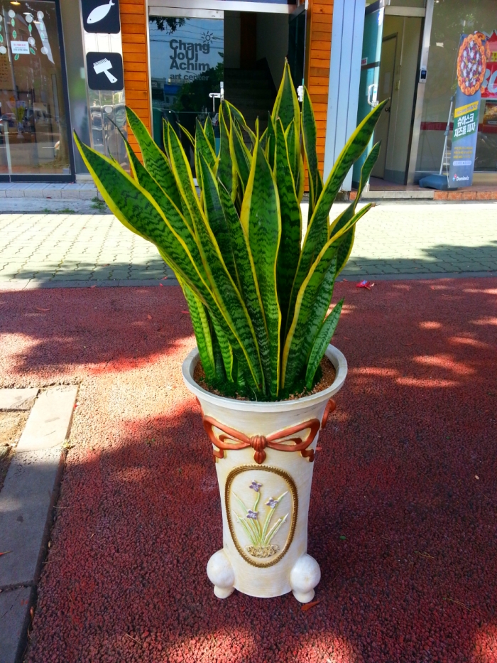 öԺ