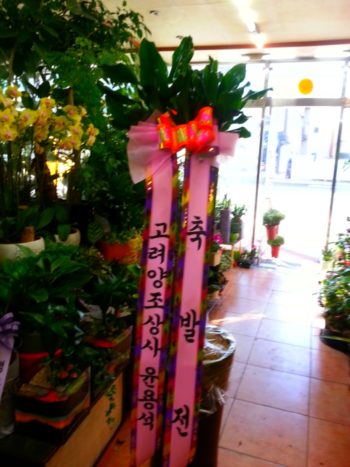 뼮Ժ