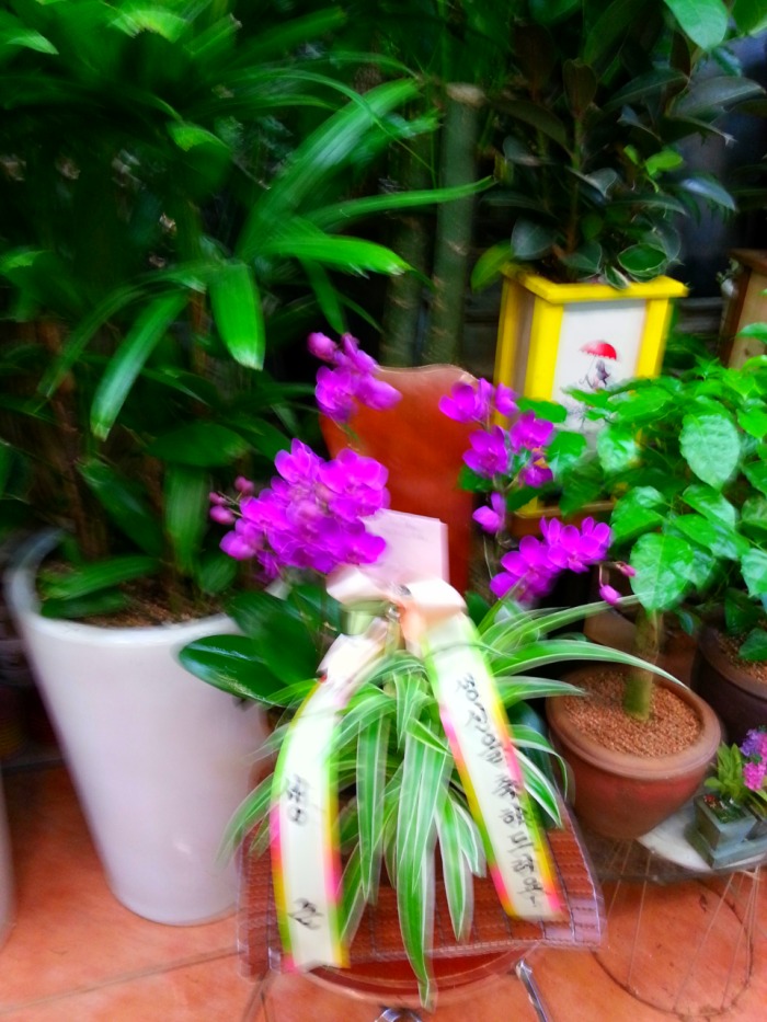 ڼٴԺ
