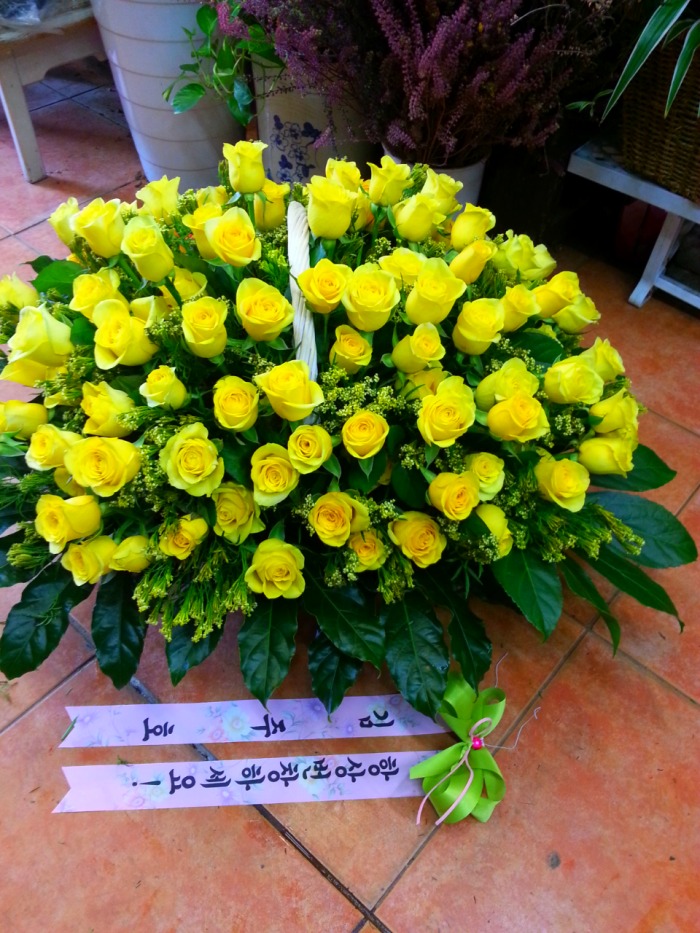 ȣԺ