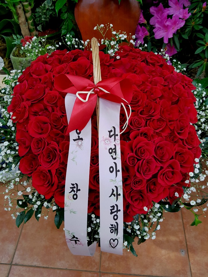 뿱